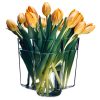 Nixie_0002_Aalto_vase_160mm_clear_tulips